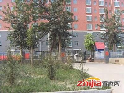 石家庄三院爆料最新消息,揭秘事件真相与进展